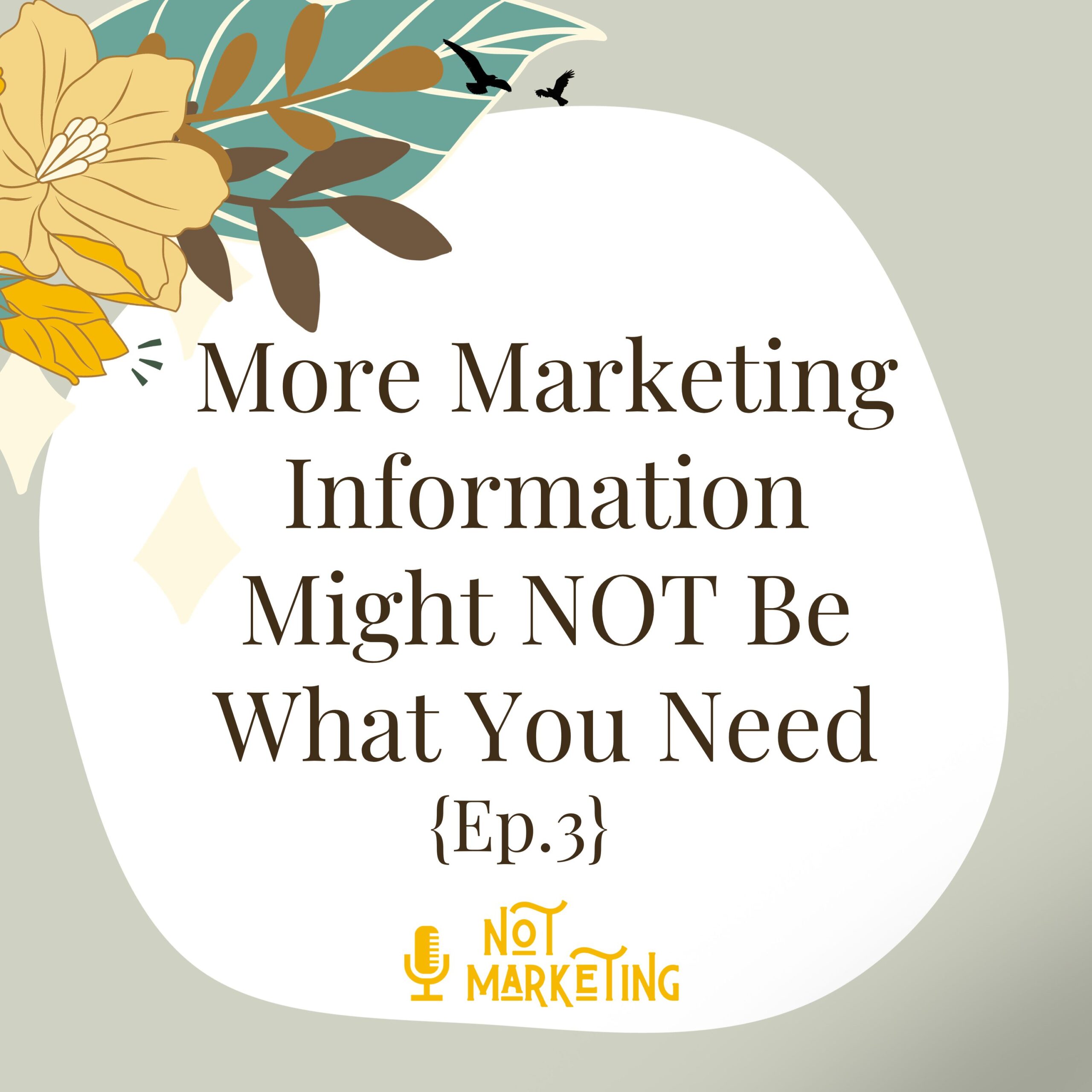 More Marketing Information Might NOT Be What You Need Ep.03